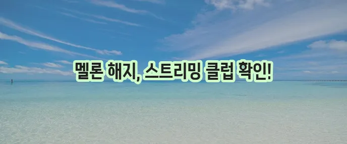 멜론 모바일 이용권 해지 방법 스트리밍 클럽 해지가 중요하죠