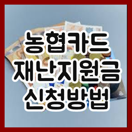  농협카드 재난지원금 신청