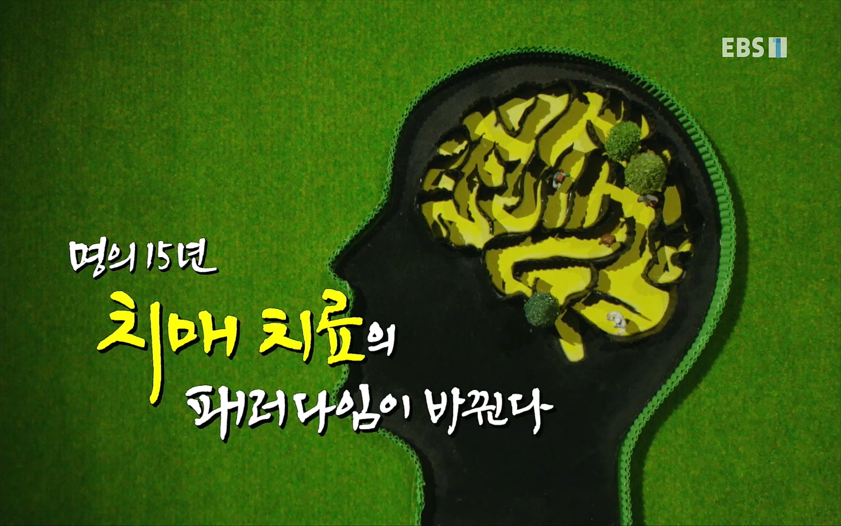 EBS 명의 헬스케어 - TV - 교육의 중심 EBS명의 15년 치매 치료의 패러다임이 바뀐다.mp4_20220808_204706.604.jpg