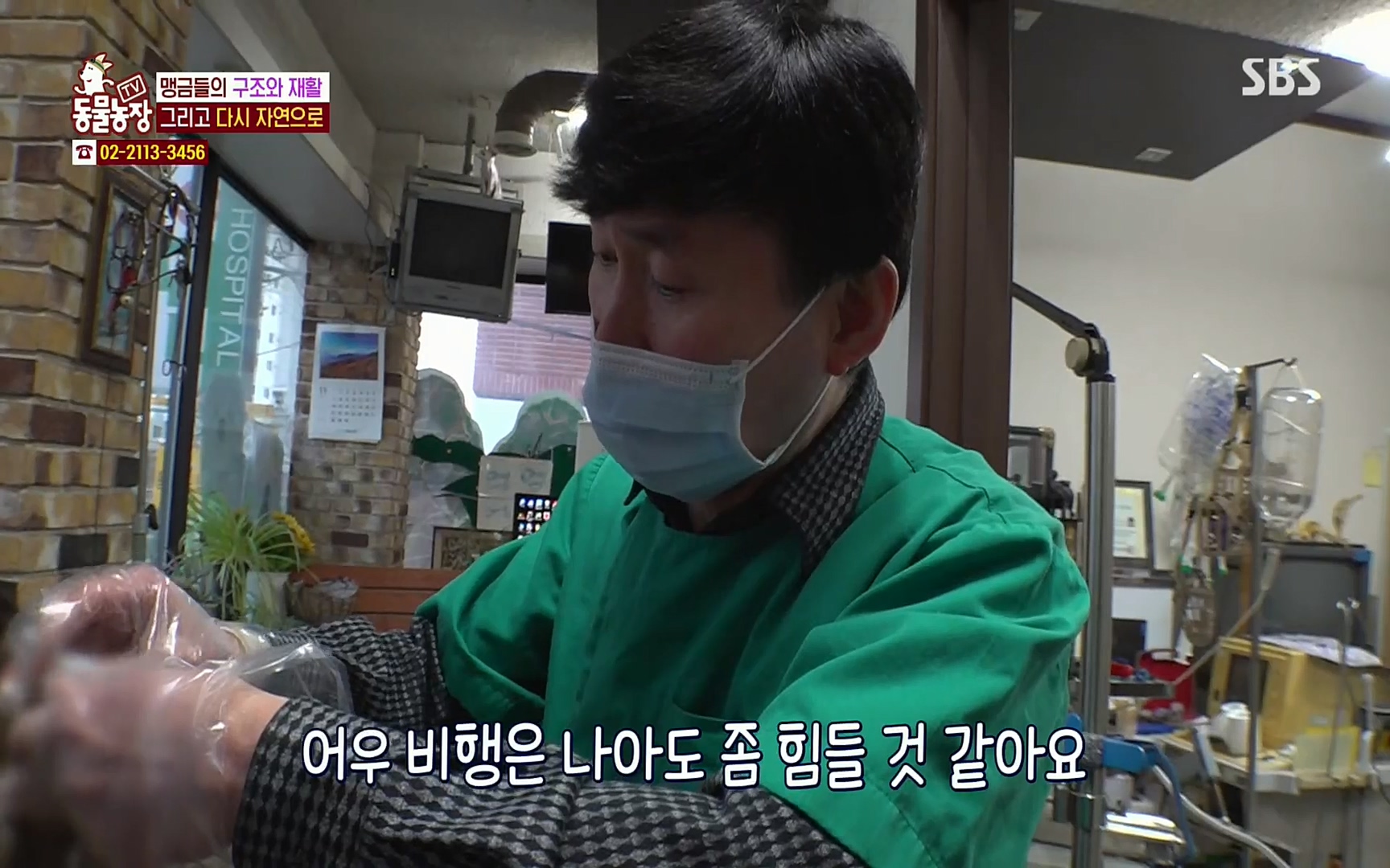 TV 동물농장.E1061.220320p.H264-F1RST.mp4_20220320_183605.120.jpg
