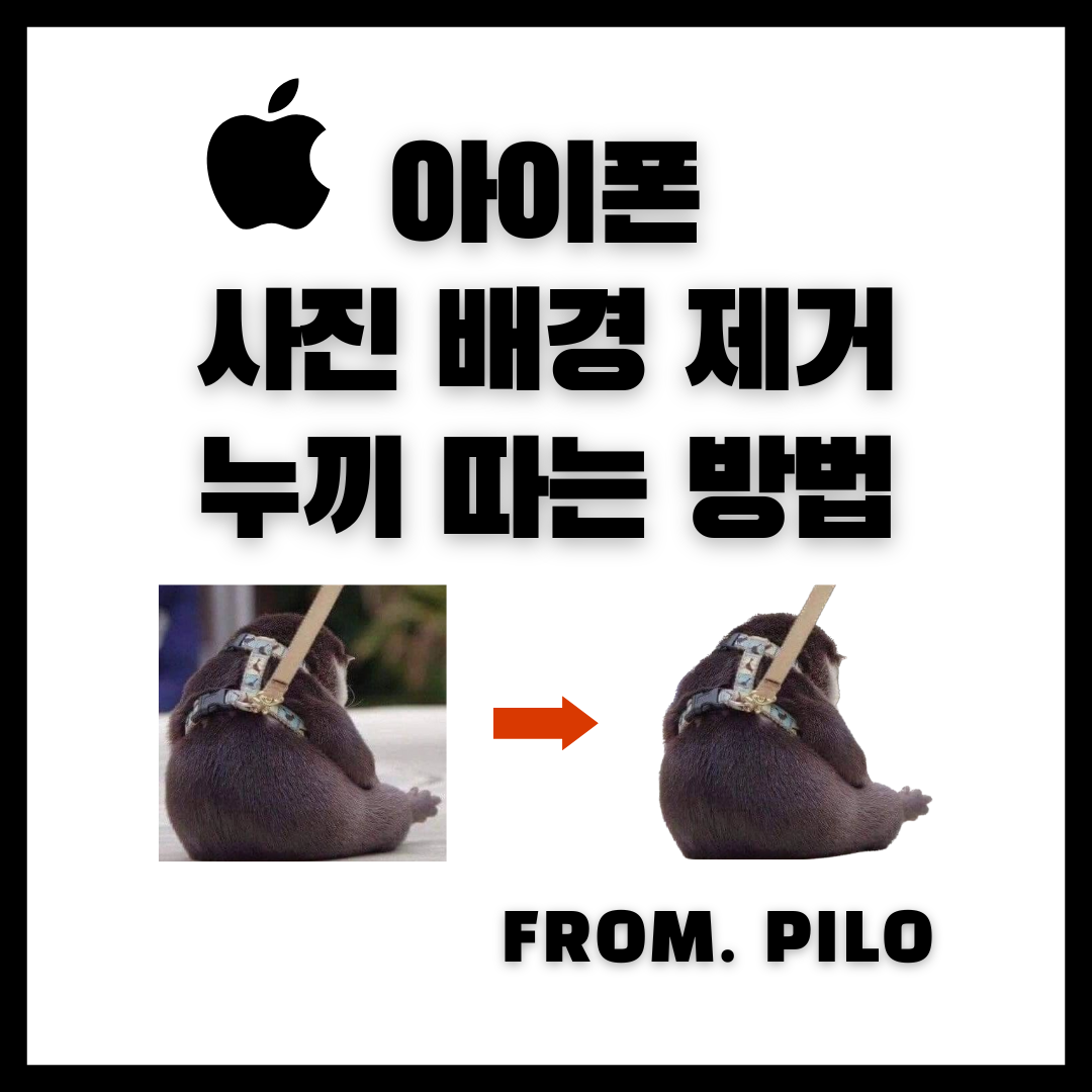  아이폰 사진 배경 제거 누끼 따는 방법