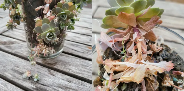 소프트 스톤 브러쉬 핸들