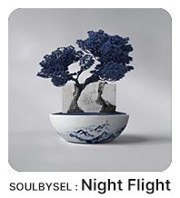 night_flight.jpg