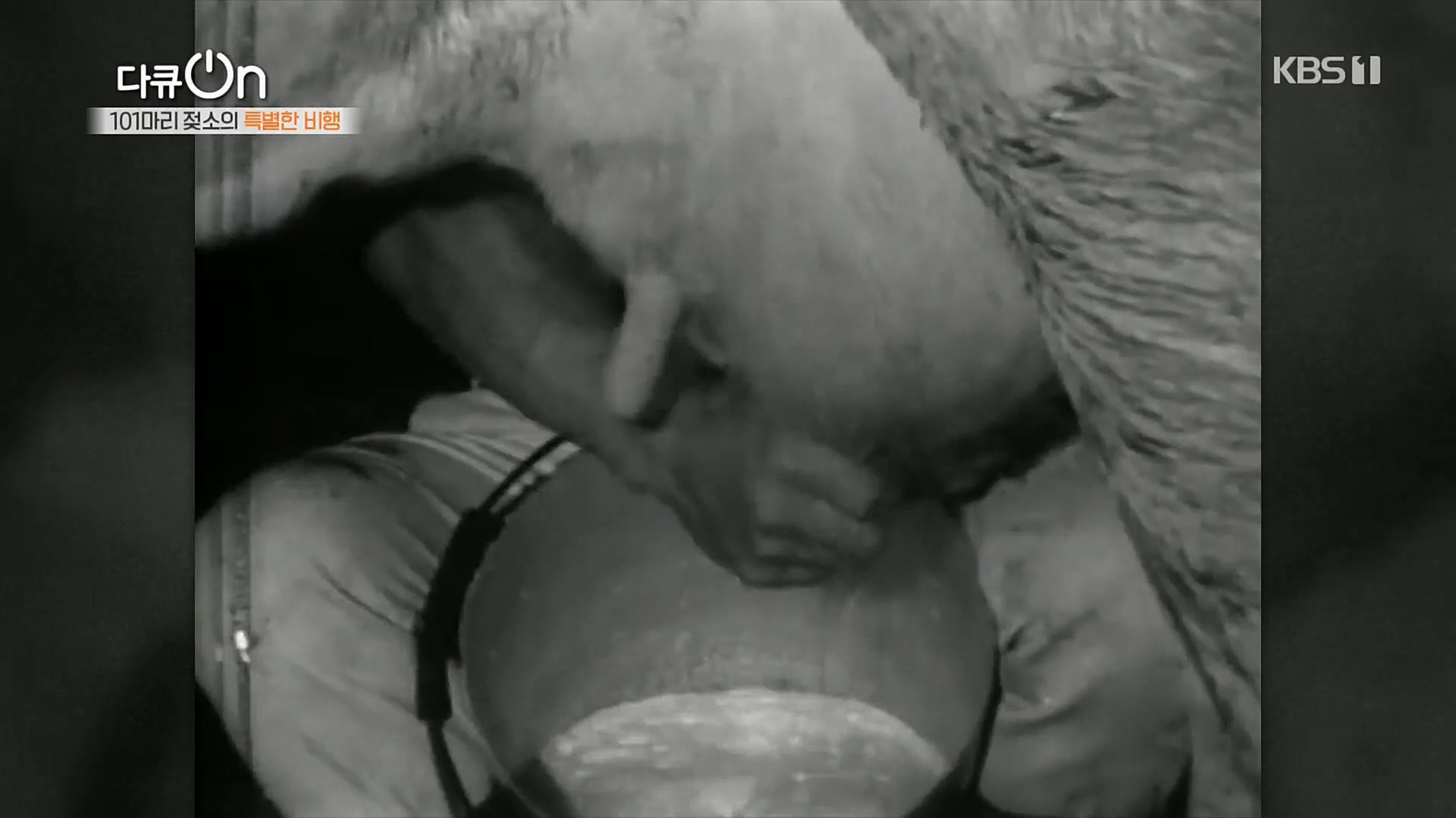 다큐 On.E184.230203p.H264-F1RST.mp4_20230211_173931.359.jpg