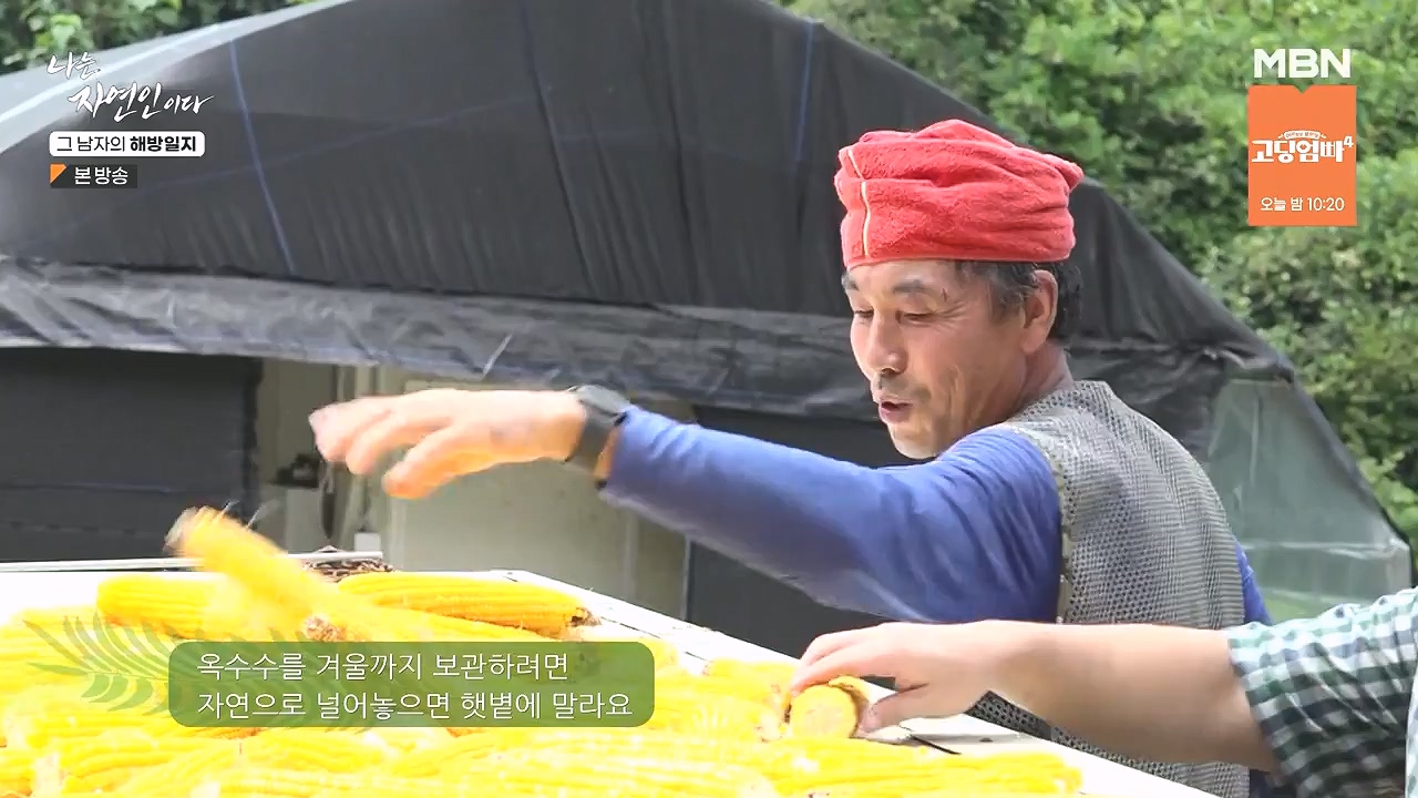 나는 자연인이다.E570.230907p-NEXT.mp4_20230909_163952.766.jpg