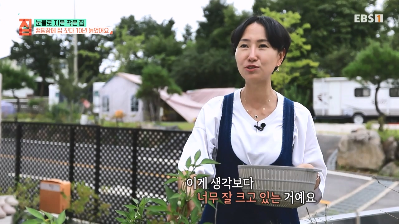 TV - 전 국민의 평생학교 EBS눈물로 지은 작은 집.mp4_20231107_205607.112.jpg