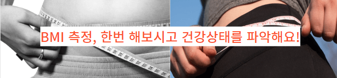  BMI 계산기, 직접 해보시고 판단하시죠?