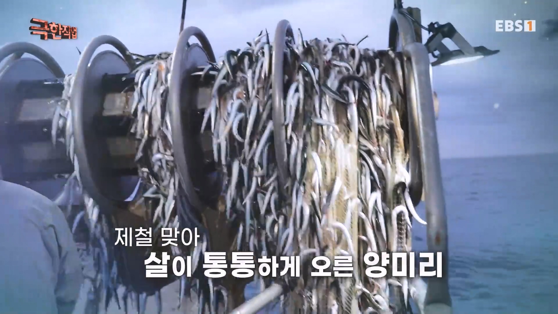 극한직업.231230p-겨울 바다의 보물.mkv_20231231_152048.449.jpg