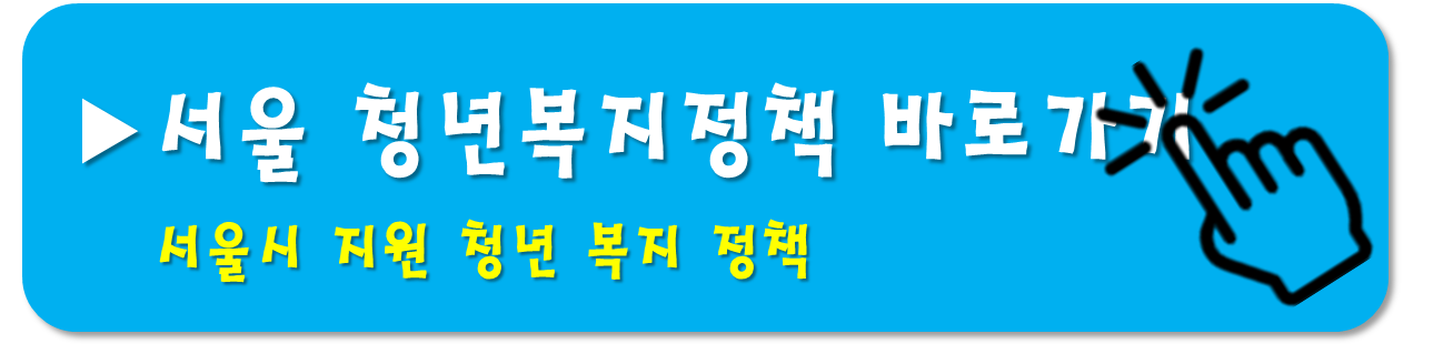 서울시-청년복지정책