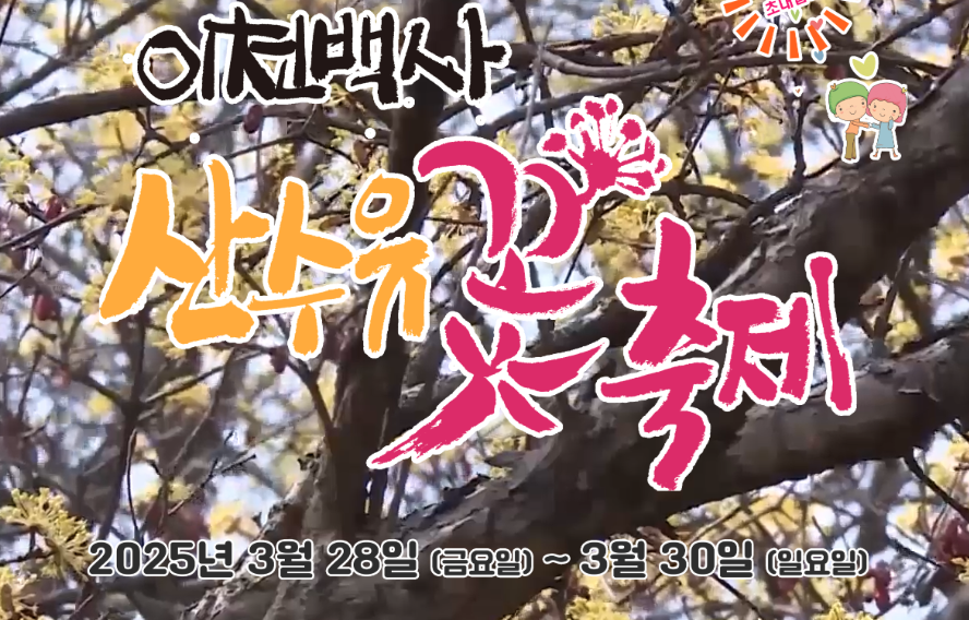 이천 백사 산수유 꽃축제