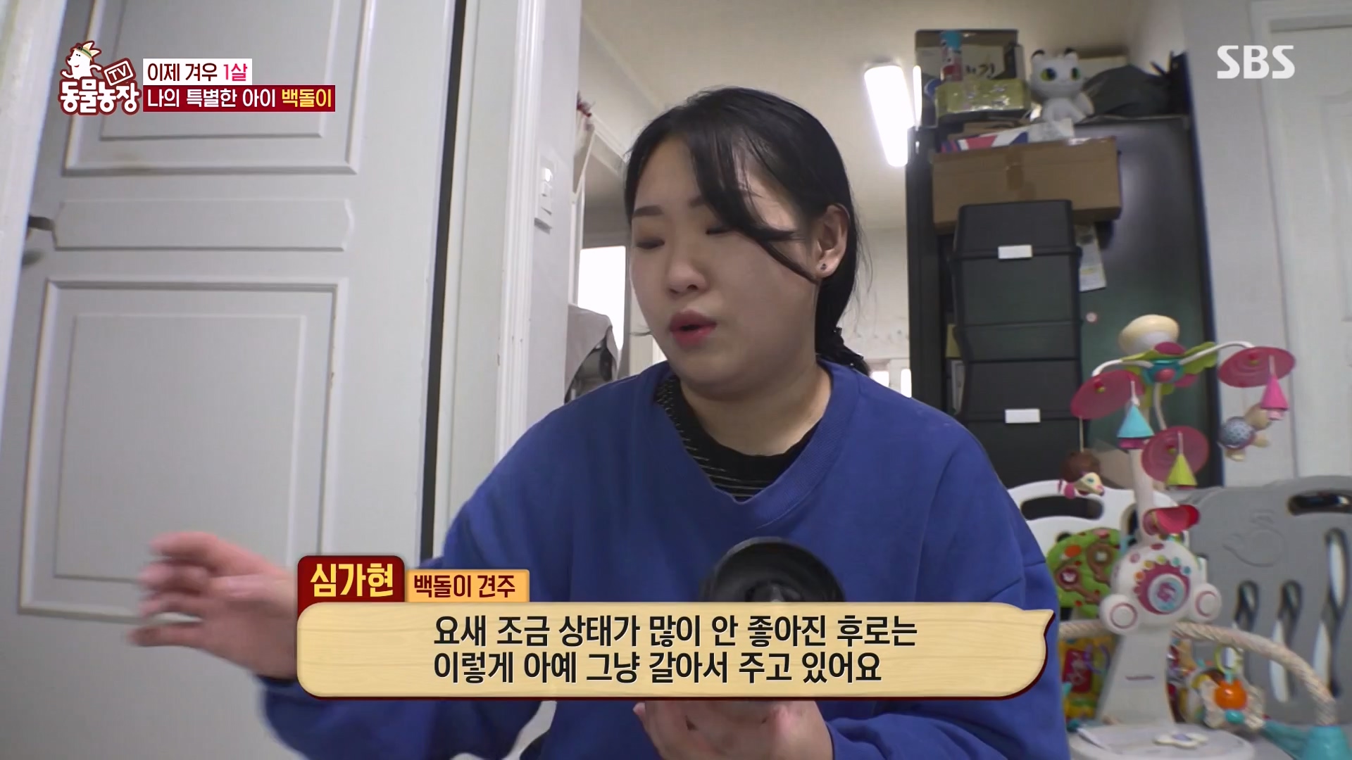 TV 동물농장.E1164.240324p-NEXT.mp4_20240324_172343.292.jpg