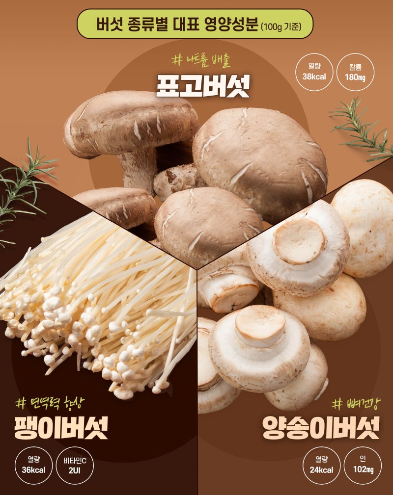버섯 종류별 대표 영양성분