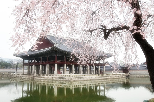 경복궁 별빛야행