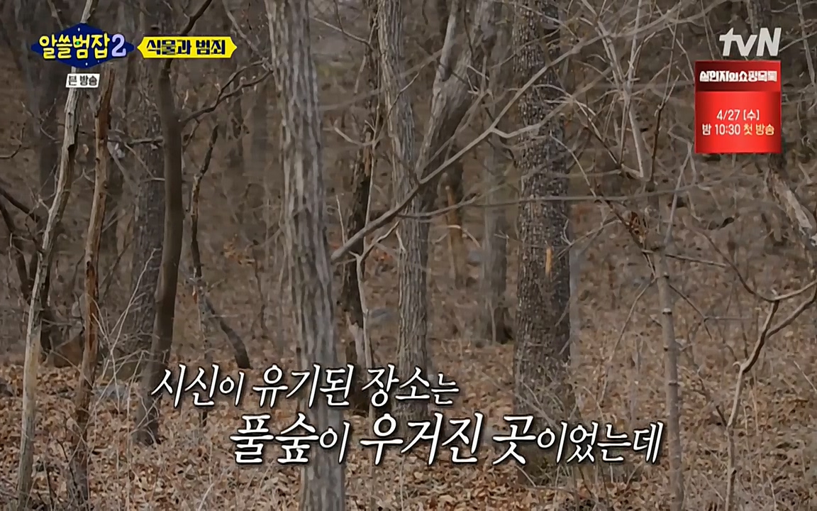 알쓸범잡 2.E15.220425p-NEXT.mp4_20220425_175311.967.jpg