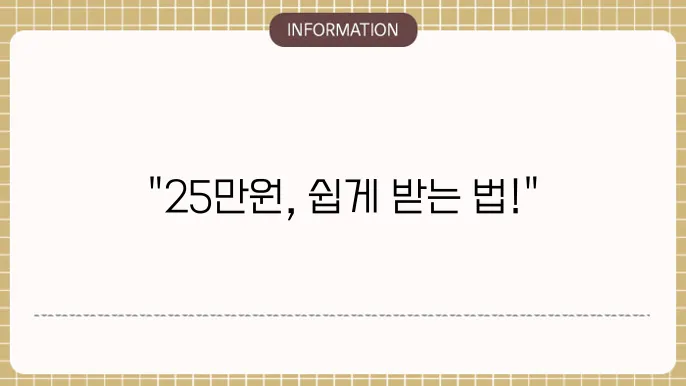 민생지원금 25만원 신청: 효율적인 신청법
