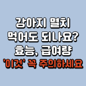 강아지-멸치