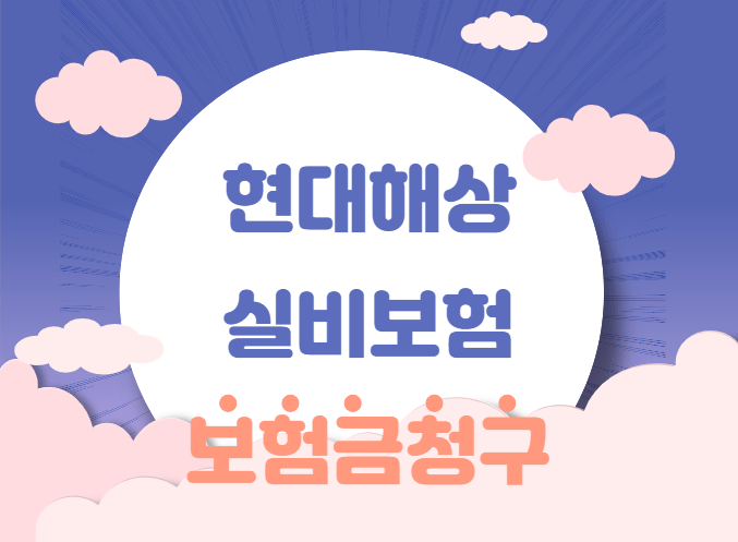  현대해상 실비보험 보험금 청구하기 - 보험료 100% 인상