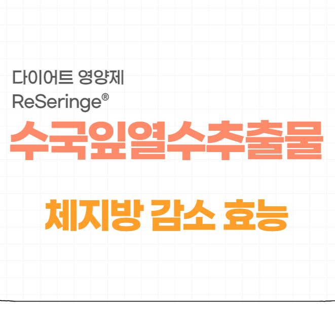  수국잎열수추출물 ReSeringe 체지방 감소 효능 다이어트 영양제