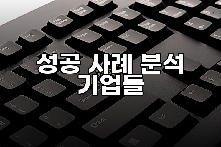 성공 사례 분석 기업들