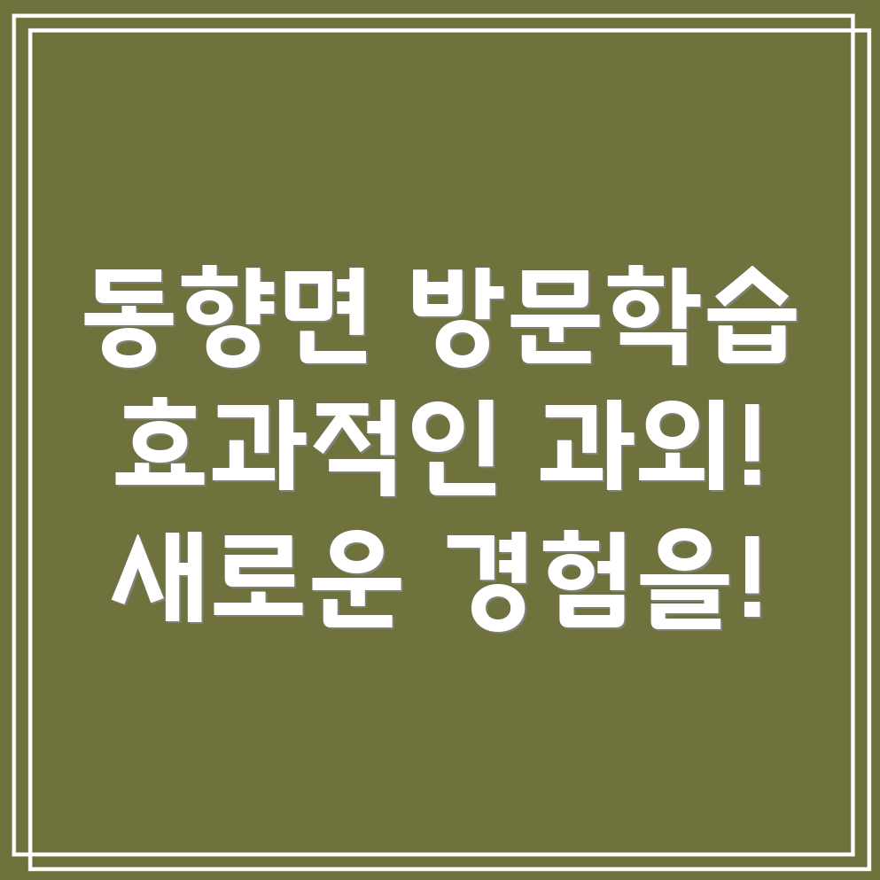 방문 과외