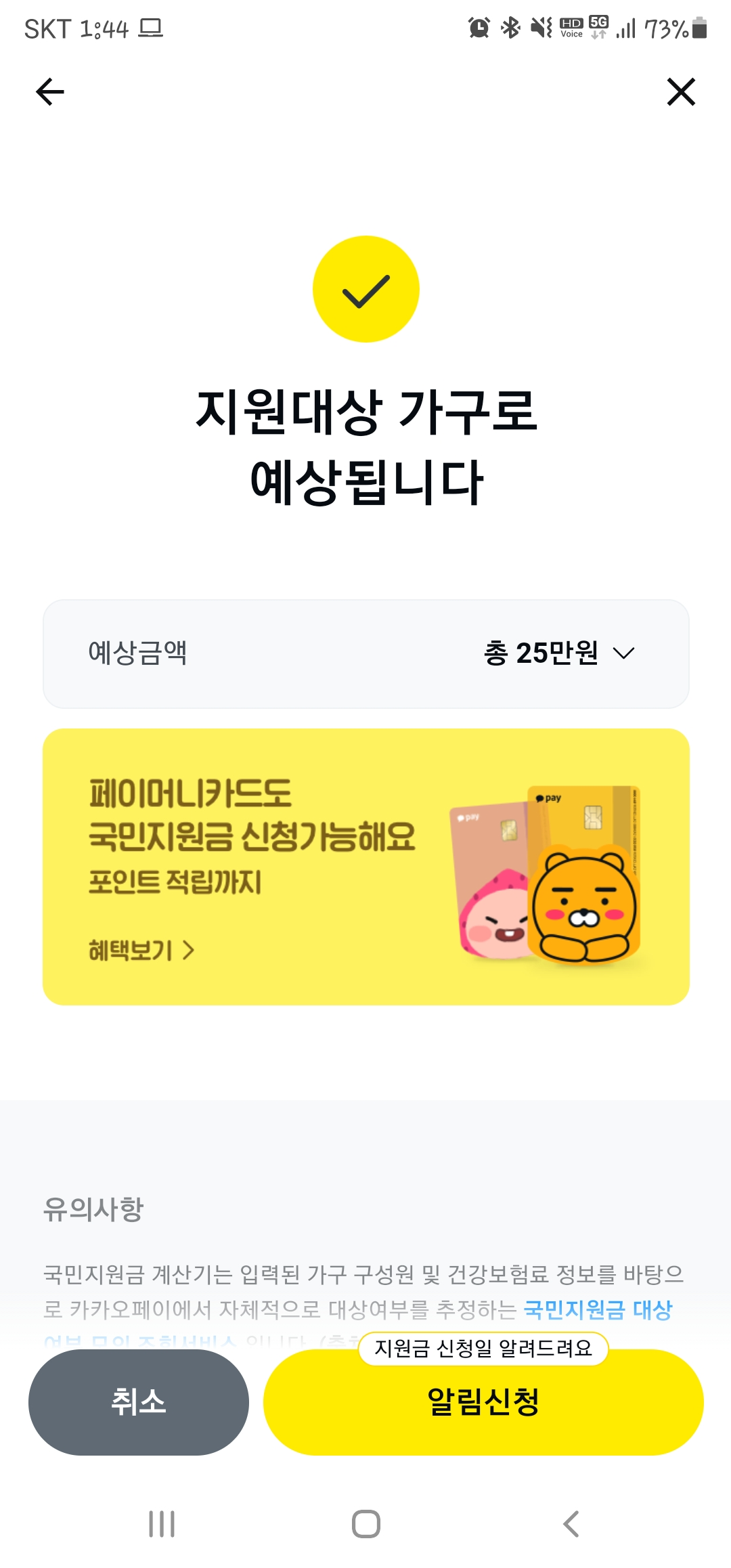  5차 재난지원금 1인당 25만원 추석 전 지급 완료 목표