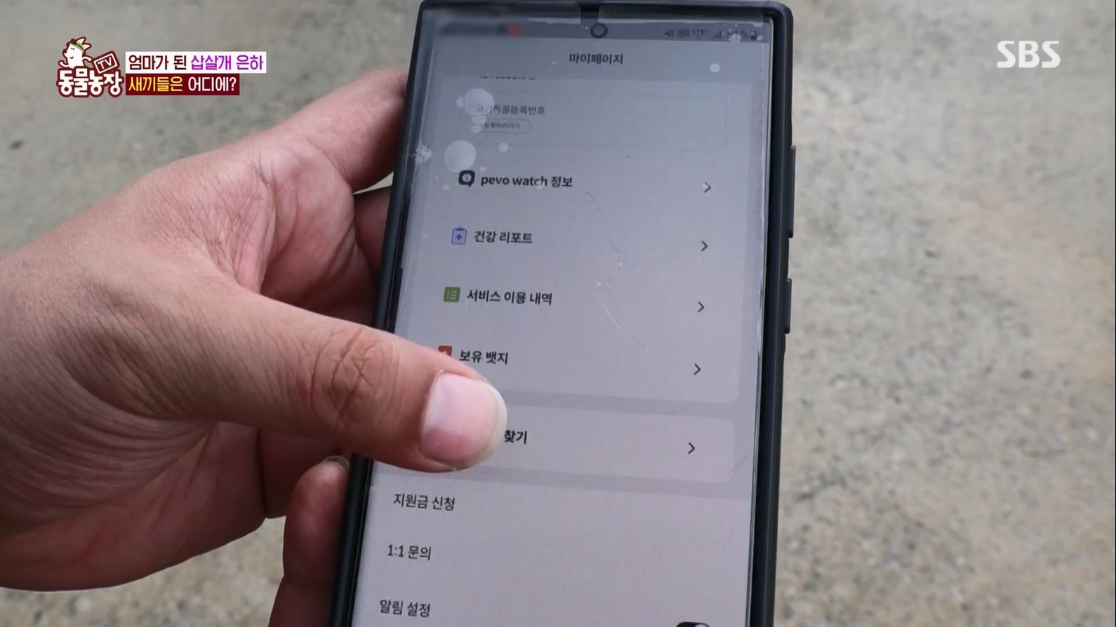 TV 동물농장.E1127.230702p.H264-F1RST.mp4_20230704_212710.429.jpg