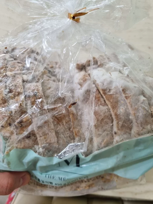  "새벽배송 곰팡이 핀 식빵이…" SSG닷컴 "배송 실수"