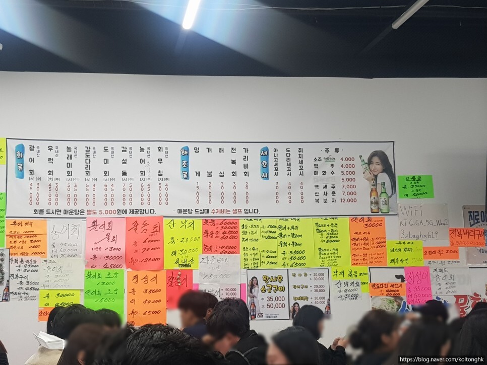 돼지네 이미지