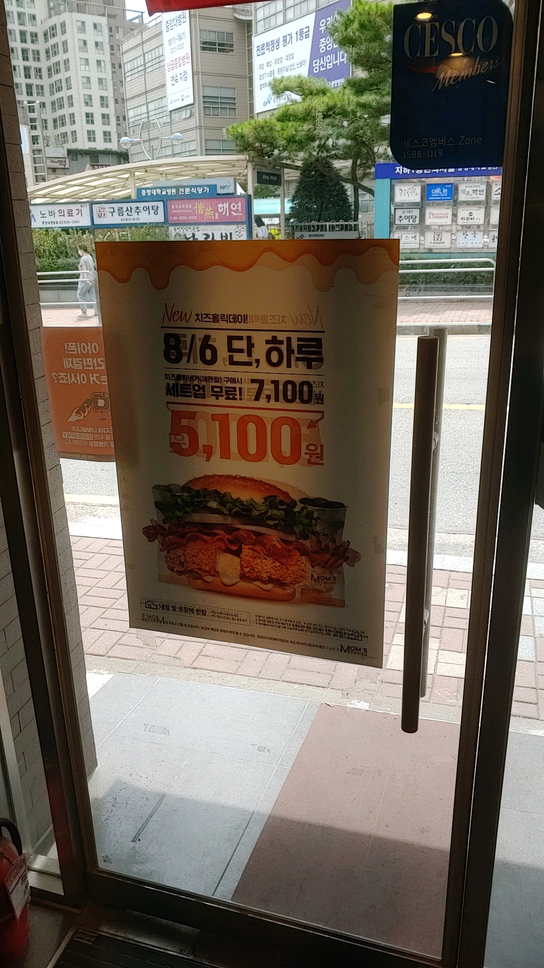 체다홀릭 이미지