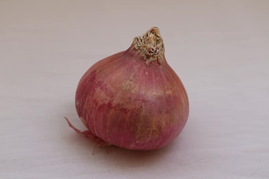  양파의 효능 및 요리 방법 알아보기!