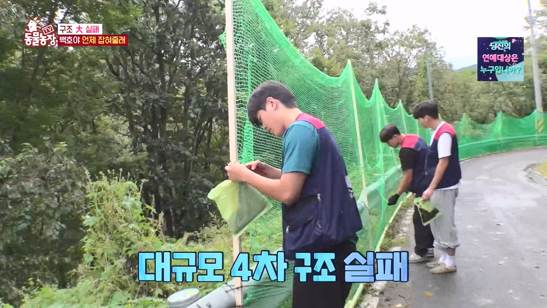 TV 동물농장.E1151.231224p-NEXT.mp4_20231224_154139.450.jpg