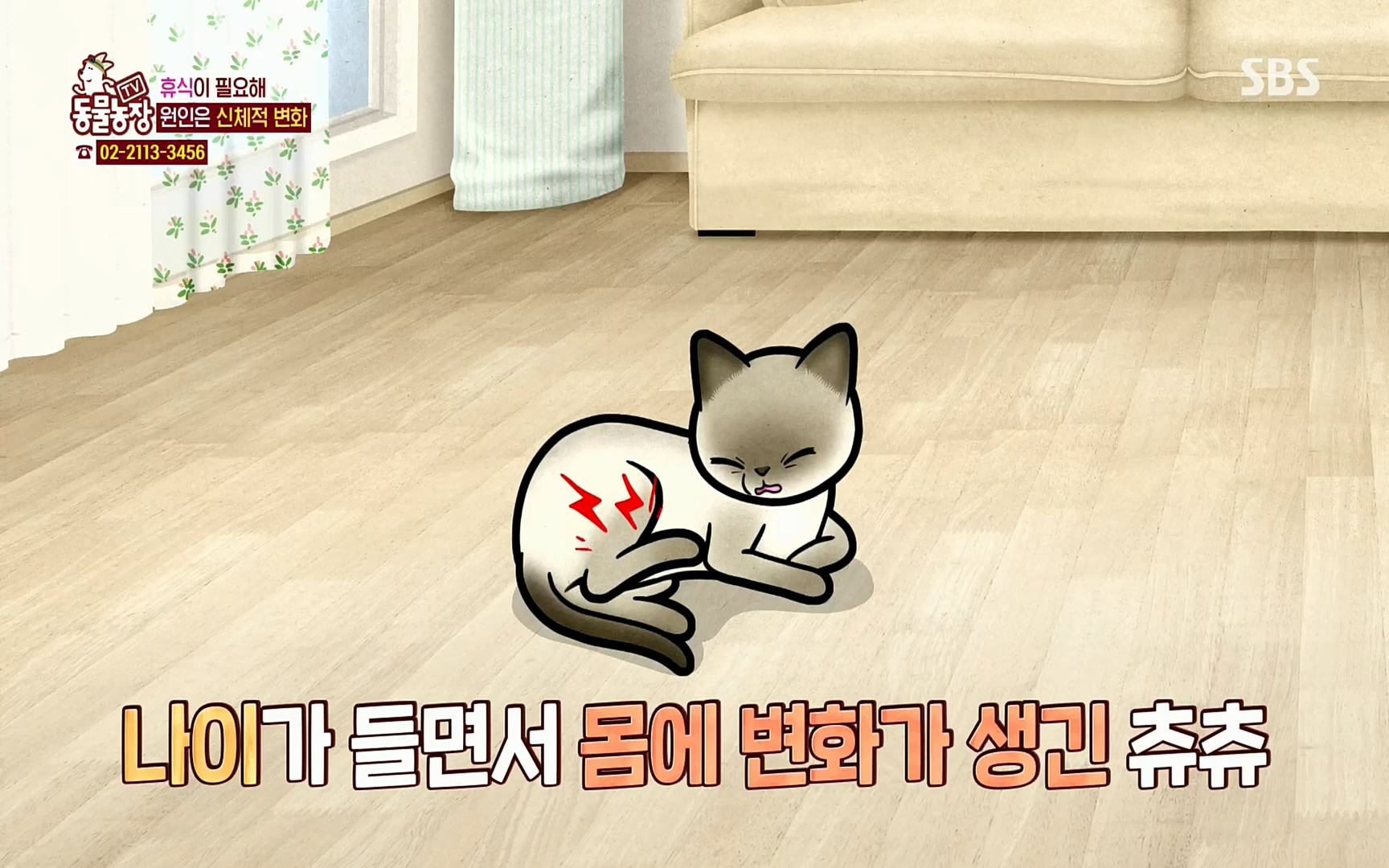 TV 동물농장.E1067.220501p.H264-F1RST.mp4_20220501_183039.181.jpg