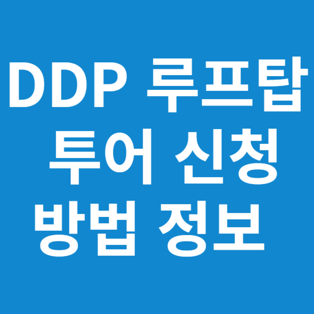 DDP 루프탑 투어 신청 방법 정보