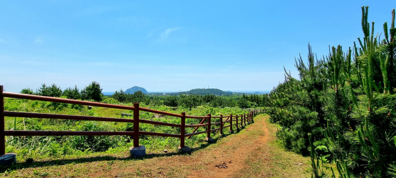 조금씩 드러나는 산방산의 모습