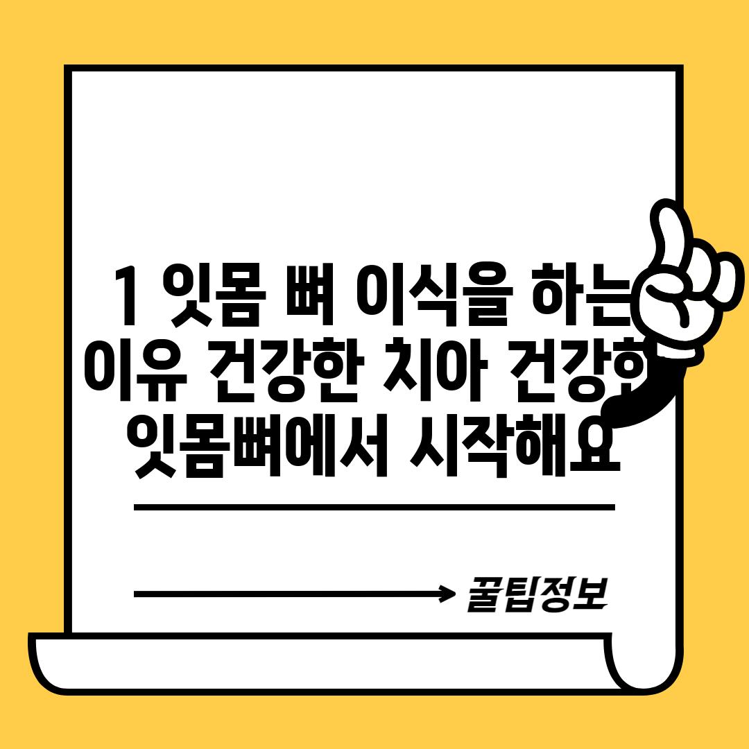 1. 잇몸 뼈 이식을 하는 이유: 건강한 치아, 건강한 잇몸뼈에서 시작해요!