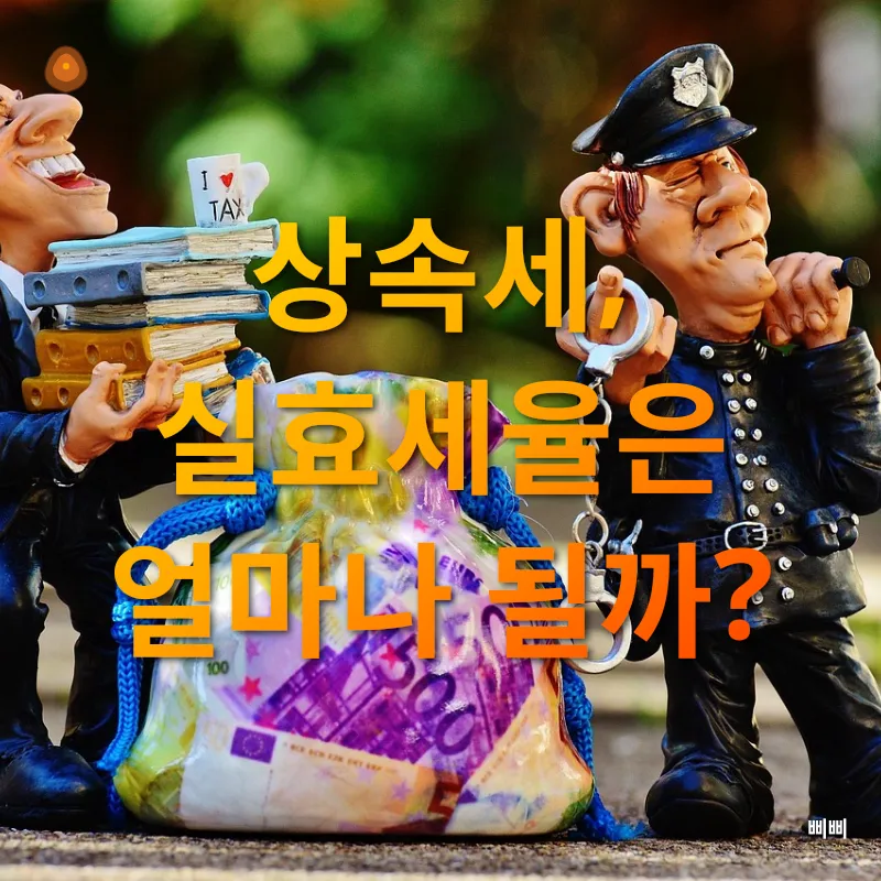 반려동물 건강관리_1