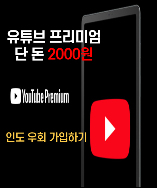  유튜브 프리미엄 인도 우회 쉽고 간단한 방법