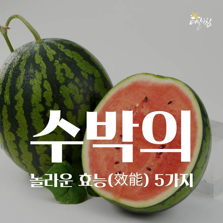  [매일아침좋은글] 우리가 모르는 수박의 놀라운 효능(效能) 5가지