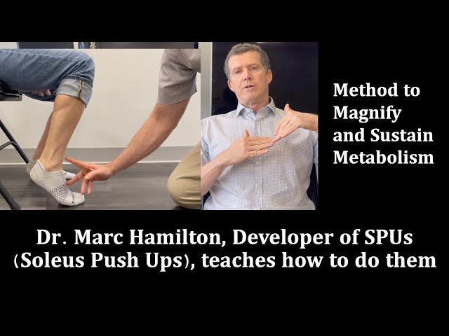  THE SOLEUS PUSH-UP: A REVOLUTIONARY EXERCISE FOR BLOOD SUGAR CONTROL