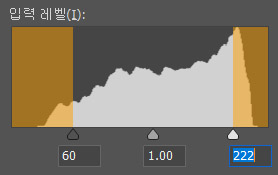 세부 묘사가 소실된 경우