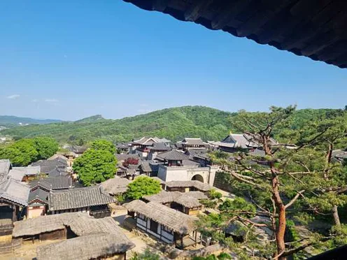 용인대장금파크