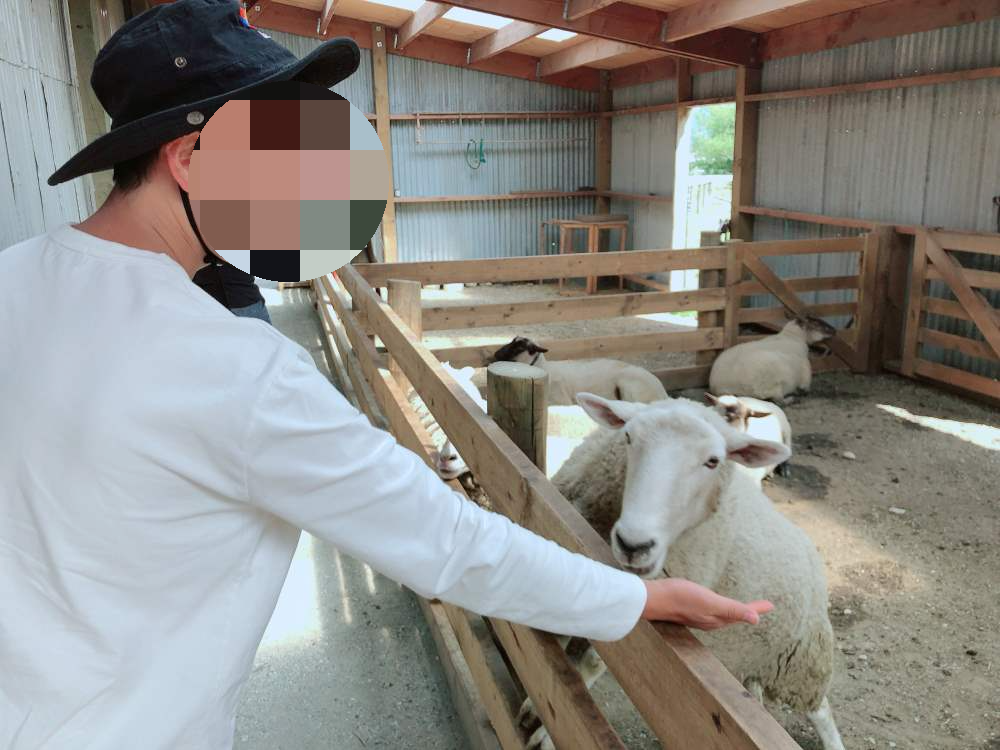 글레노키 동물농장