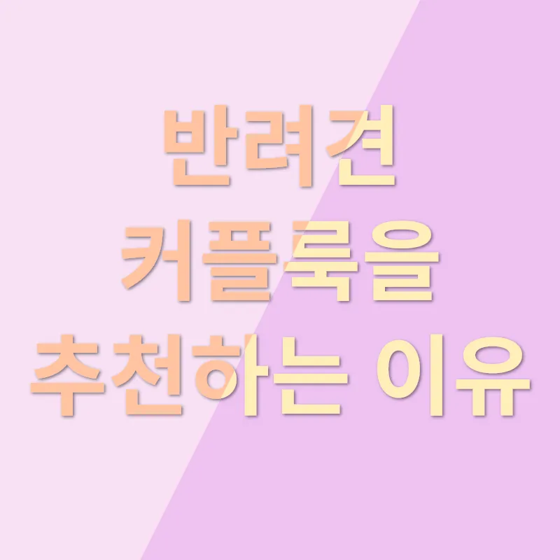 반려견 커플룩_1