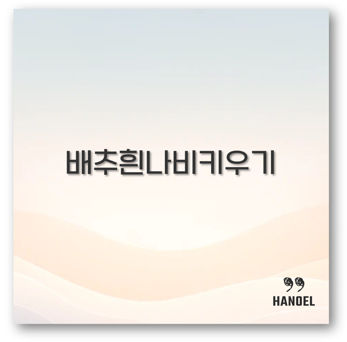 배추흰나비키우기
