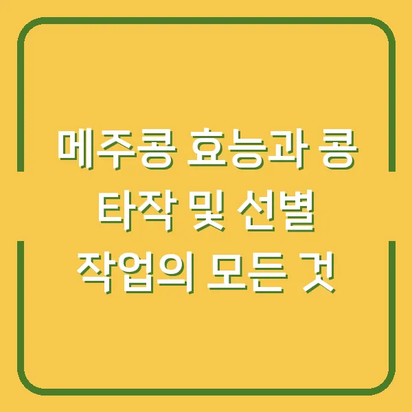 메주콩 효능과 콩 타작 및 선별 작업의 모든 것