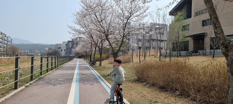  학교갈 때 따라 가는 걸 거부해요 (23.04.05)