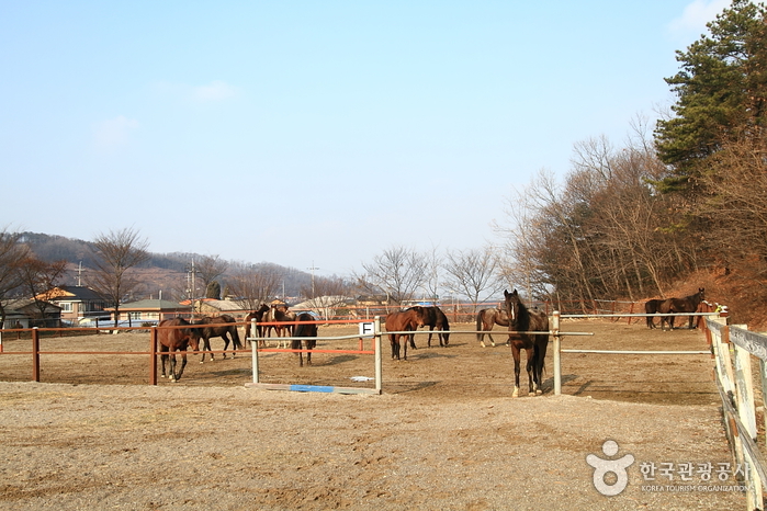경기도 포천 여행 - 5 포천수원산전망대, 울미연꽃마을, 산정랜드, 테마로 즐기는 여행, 포천 추천여행지, 가볼만한곳, 관광지도, 여행지도10