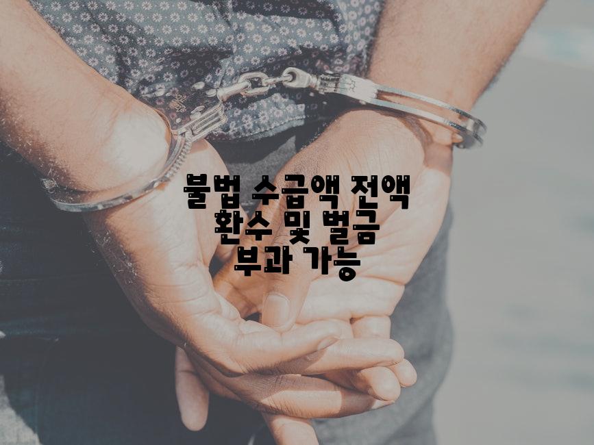 불법 수급액 전액 환수 및 벌금 부과 가능