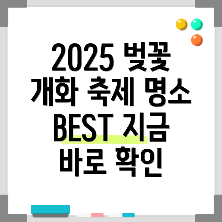 2025 벚꽃 축제