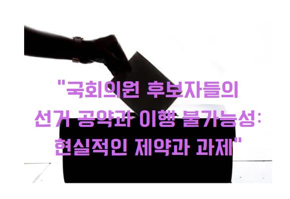 국회의원 후보자들의 선거 공약과 이행 불가능성: 현실적인 제약과 과제